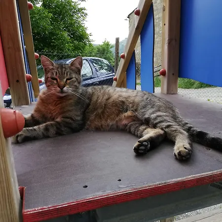 Agriturismo Grotta Dell'Eremita Ξενοδοχείο Albano di Lucania